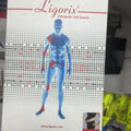 LIGORIX KORSE PER SHTATEZANI