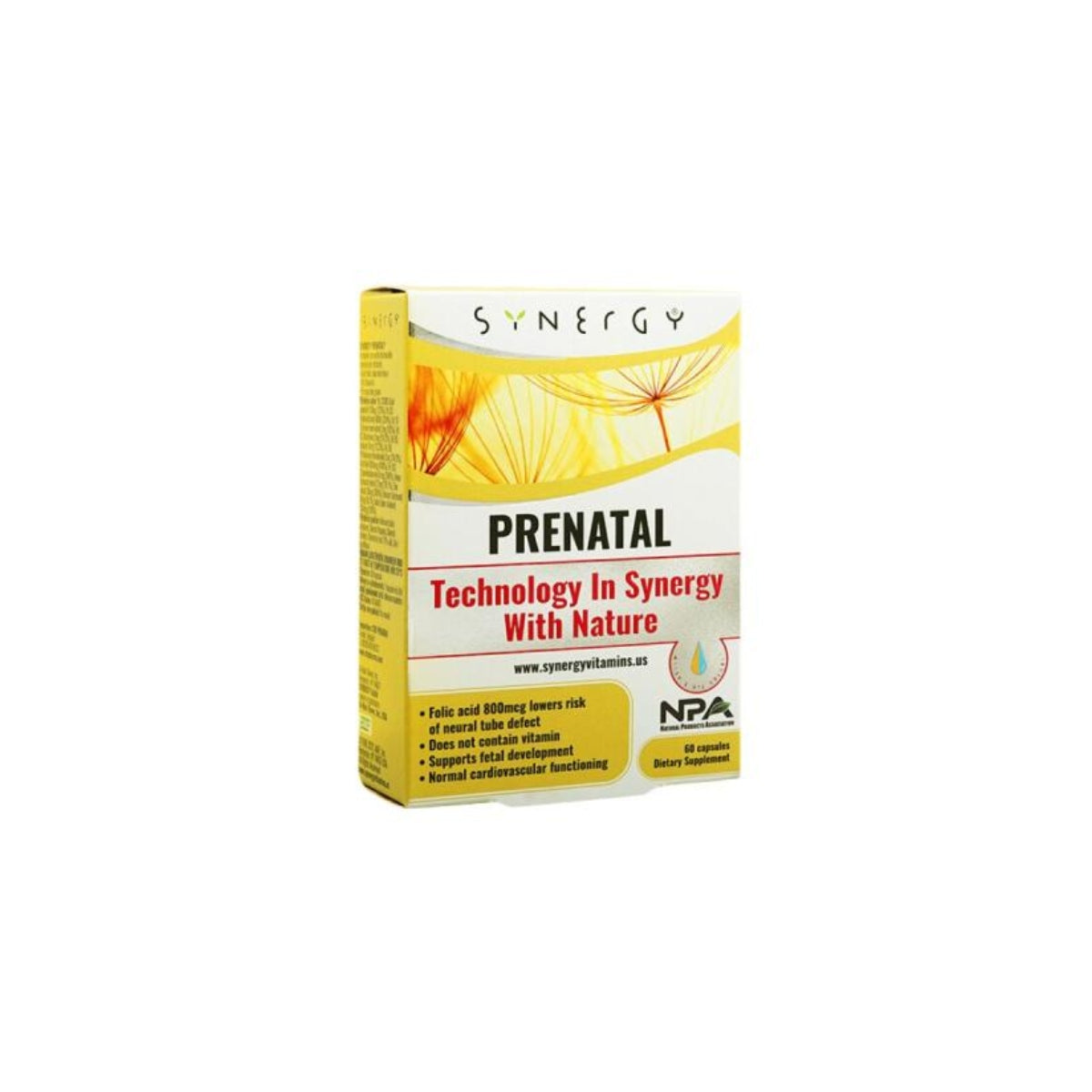 PRENATAL SYNERGY